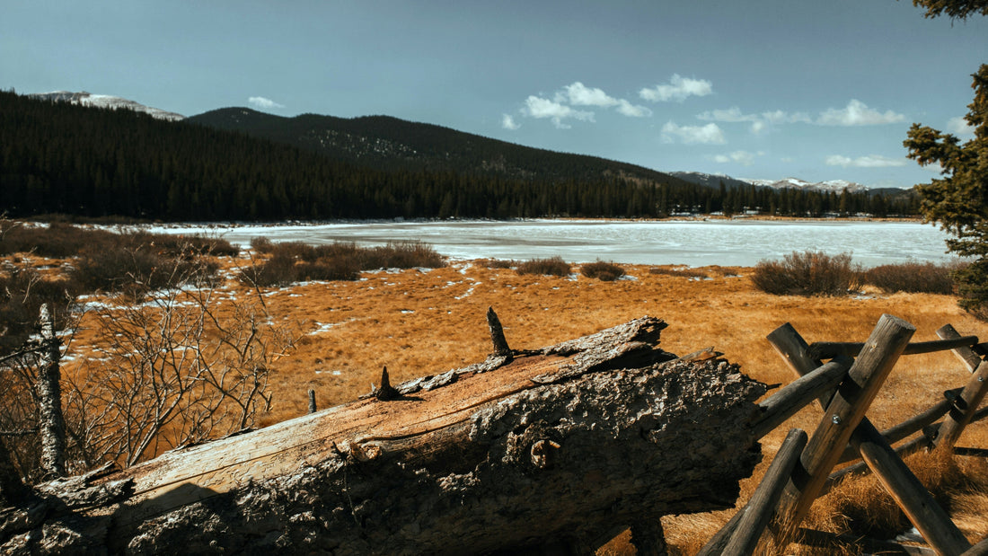 Denver: A Photographer’s Dream in the Mile-High City