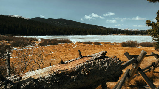 Denver: A Photographer’s Dream in the Mile-High City