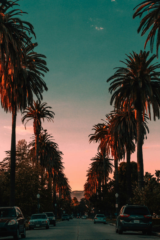 Hollywood: The Ultimate Photography Destination in California
