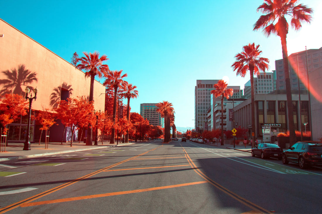 San Jose: A Photographer’s Guide to Capturing Silicon Valley’s Best Views